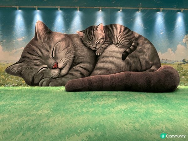 🐱 MegaBox 巨型貓貓 3D 畫為咩去？：幅畫足足 5...