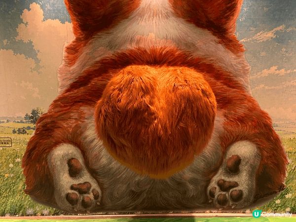 🐱 MegaBox 巨型貓貓 3D 畫為咩去？：幅畫足足 5...