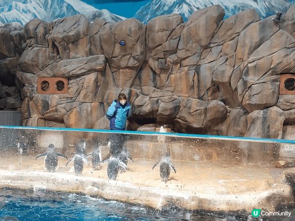 香港海洋公園結合動物保育、教育與刺激的機動遊戲，可以欣賞自然...