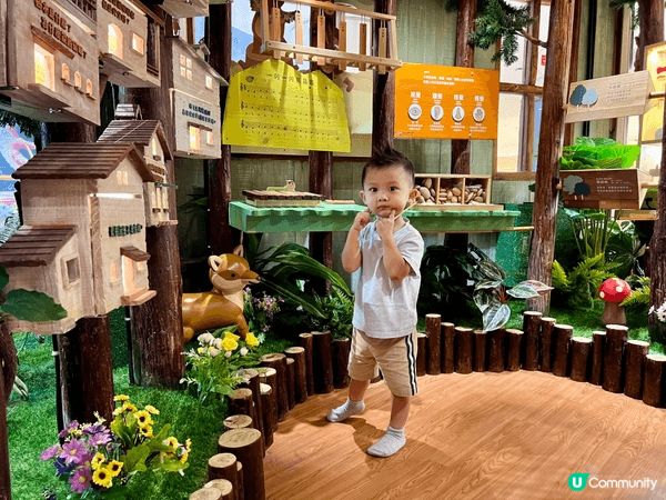 深圳灣木育森林，一個木製playhouse，又有得玩又有得學...