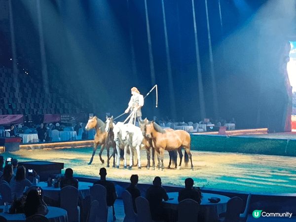 歐洲大型馬術劇場匯演《CAVALLUNA 馬術X劇場穿梭異境...