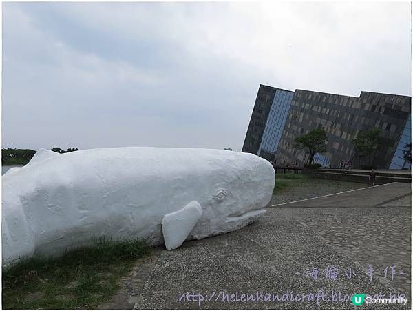 【旅遊台灣】賞鯨豚龜山島日出行