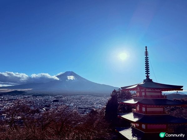 總是要到日本東京度過，早上望白色富士山，晚上望五光十色樹燈飾...