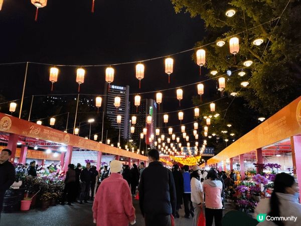新年其中一個消閒活動便是去行花市，深圳的花市比香港大，而且人...