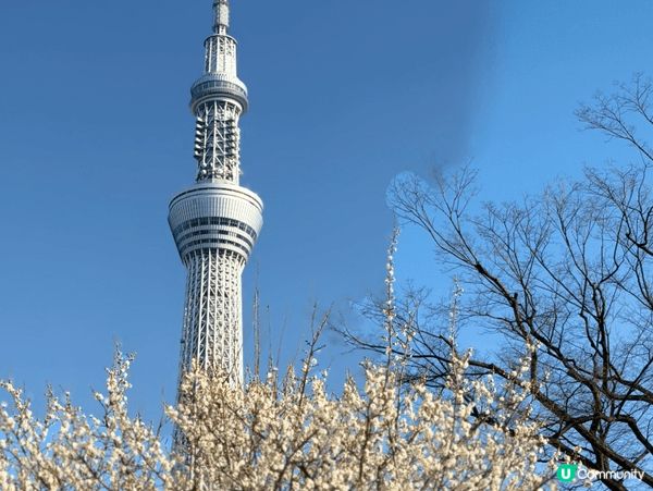 這裡是日本東京淺草。當日出行天氣非常好，我們去了淺草寺拜拜，...