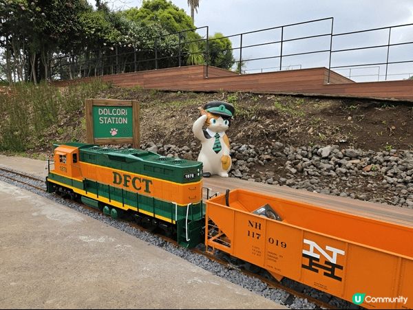 濟州島全新體驗型主題樂園Dolcori Forest，絕對係...
