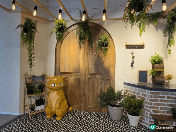 濟州島全新體驗型主題樂園Dolcori Forest，絕對係...