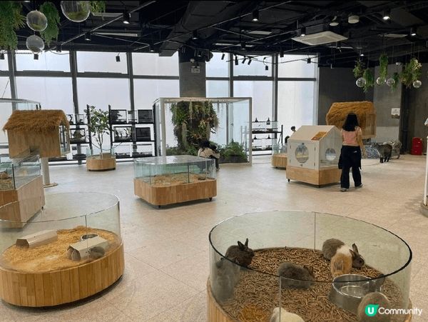animal lovers 必定會鍾意呢度!地方都算大,完全...