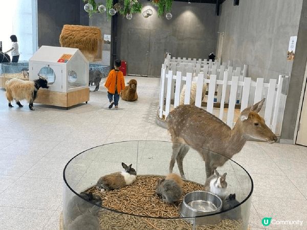 animal lovers 必定會鍾意呢度!地方都算大,完全...