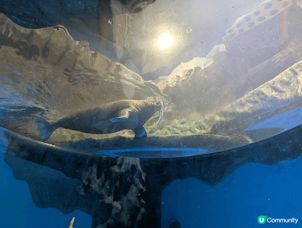 無論係本地好去處定親子活動