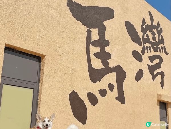 圖片中的地點分別是東平洲海岸公園，馬灣1868，大橋街市燈籠...