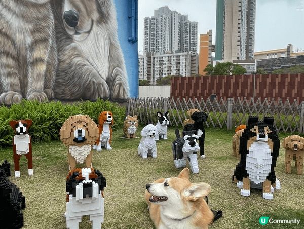 圖片中的地點分別是東平洲海岸公園，馬灣1868，大橋街市燈籠...