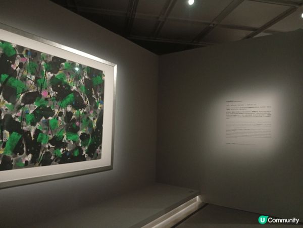 這是香港藝術館的展覽活動，有各式藝術導賞及裝置藝術，帶我們親...