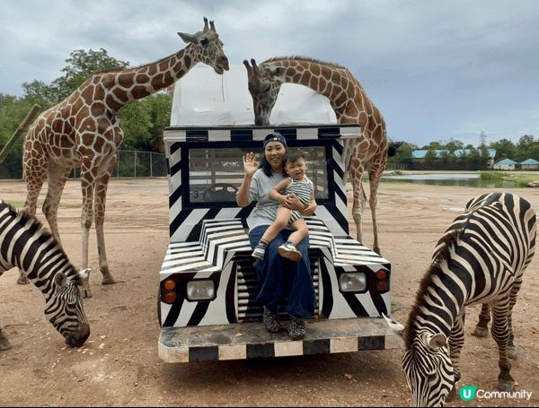 泰國北碧府野生動物園（Safari Park Kanchan...