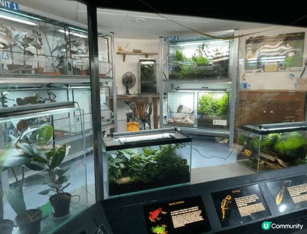 英國米免費博物館！9市中心超方便！