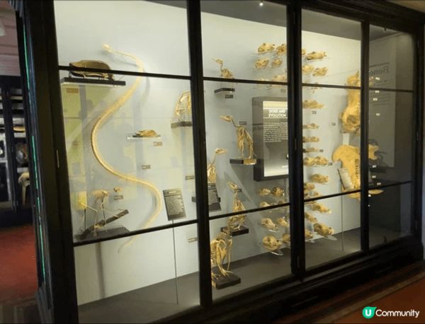 英國米免費博物館！9市中心超方便！
