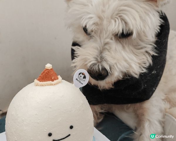 12月聖誕節，豆漿食左幾款蛋糕慶祝，分別有：mememorm...