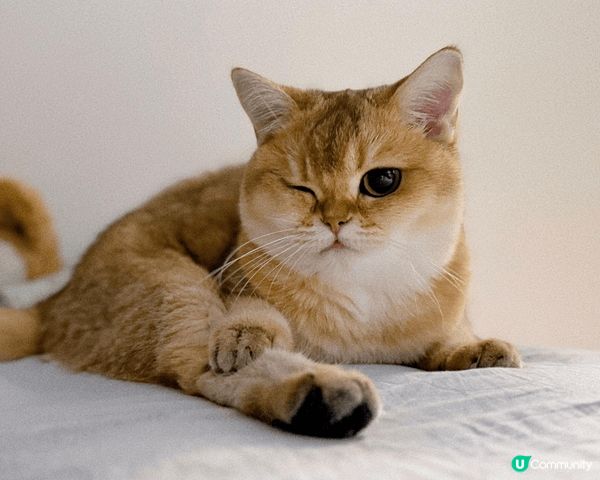 你好，我是包姐！我最喜歡靜悄悄走出家門外！嘻