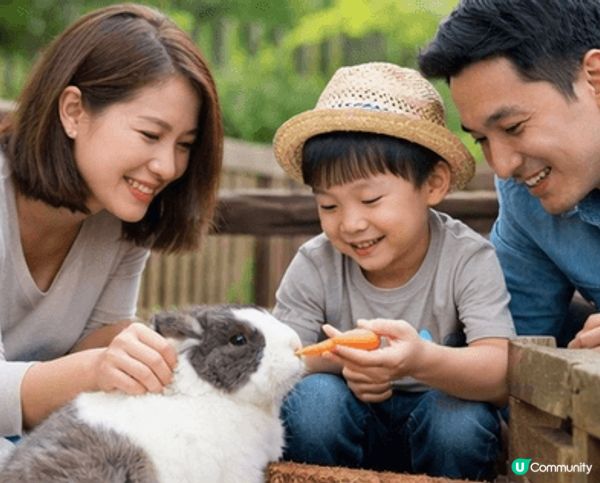 室內遊樂場：安全環境，適合小朋友放電。