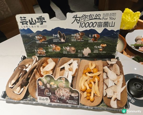 芸山季雲南野生菌火鍋, 人氣雲南特色火鍋餐廳之一, 必食之選...
