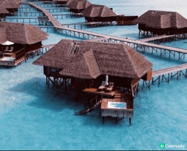 每年春季，運河兩旁的櫻花樹盛開，形成夢幻的粉紅隧道。