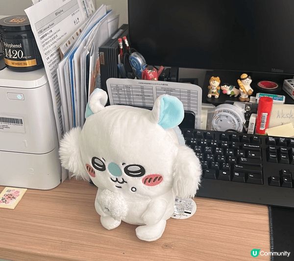今個暑假最開心就係睇咗Chiikawa電影啦，佢唔單止買飛可...