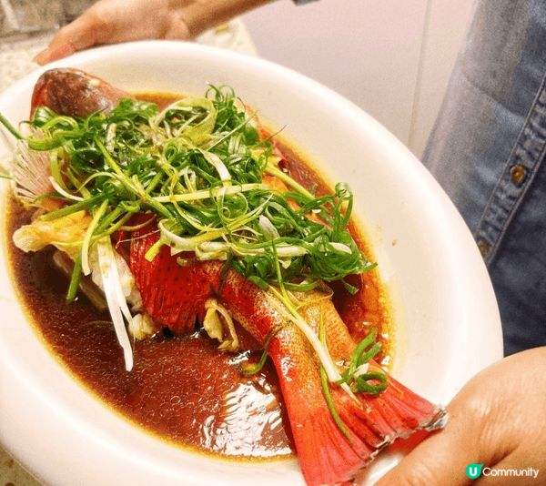 每年最期待就係去阿爺度食團年飯！🤣今年有東星班，仲有香噴噴嘅...