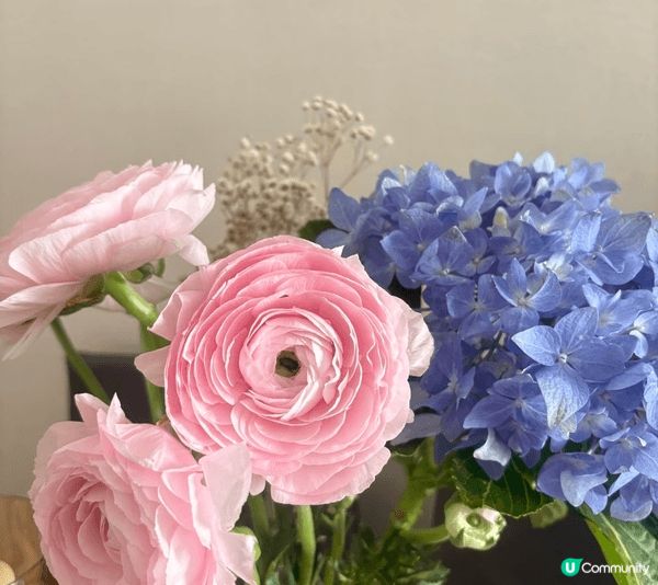 每年最期待就係去阿爺度食團年飯！🤣今年有東星班，仲有香噴噴嘅...