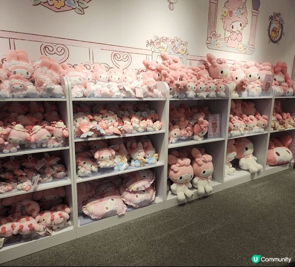地點是又一城，喜歡 Sanrio 角色是 My Melody...