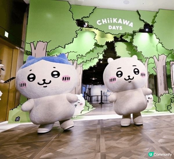我最愛嘅角色係小八（Hachiware）！佢體貼又努力考除草...