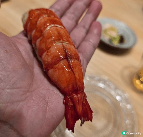 癲價深圳壽司宋！🍣💰