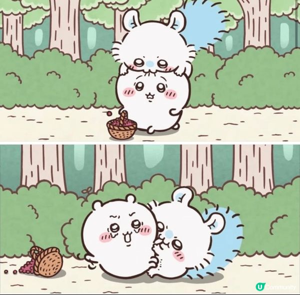 我真係好鍾意Chiikawa,我會睇佢哋嘅漫畫啦卡通啊，因為...