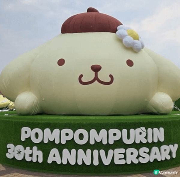 適逢今年是布甸狗30週年，一定要到海洋公園的高峰樂園「Pom...