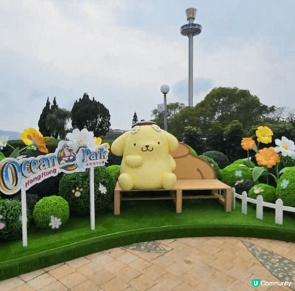 適逢今年是布甸狗30週年，一定要到海洋公園的高峰樂園「Pom...