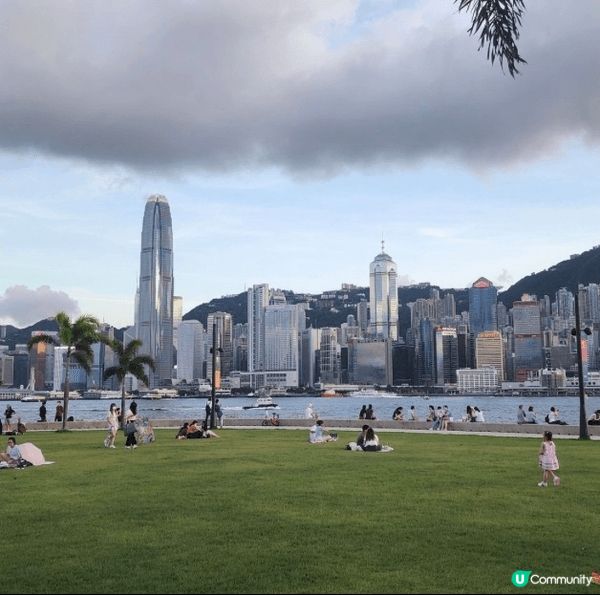 西九文化區（草地）簡約現代的建築線條、大片綠草地與維港海景。