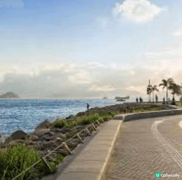西九文化區（草地）簡約現代的建築線條、大片綠草地與維港海景。