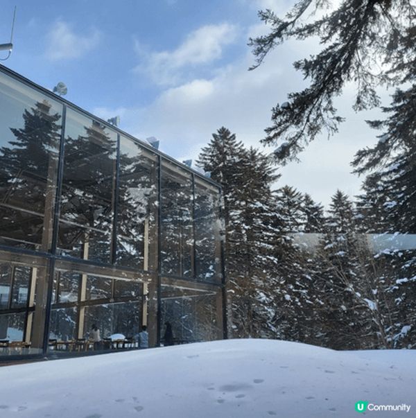北海道 冰天雪地 破冰 森林早餐之旅