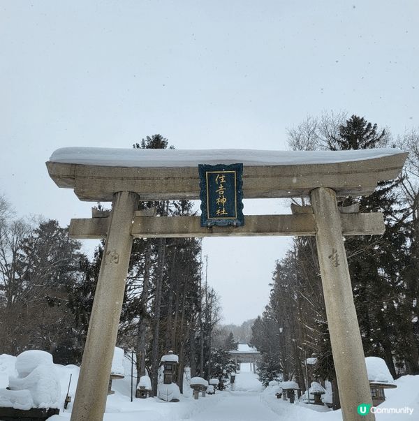 北海道 冰天雪地 破冰 森林早餐之旅