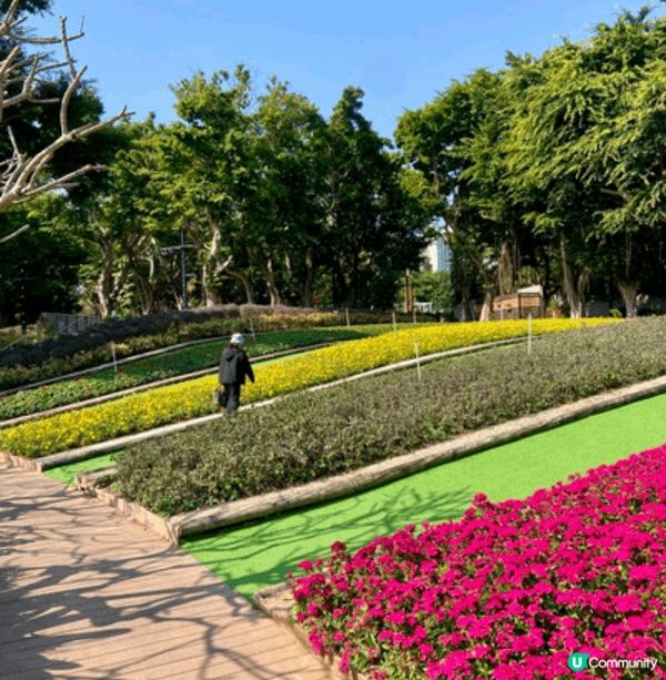 大埔海濱公園