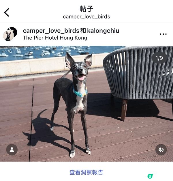 The Pier Hotel，這裡最吸引人之處在於其卓越的寵...