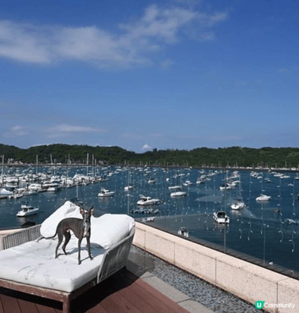The Pier Hotel，這裡最吸引人之處在於其卓越的寵...