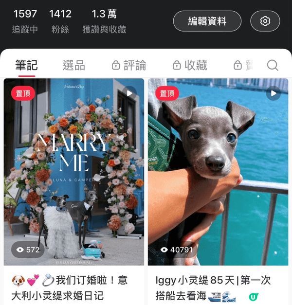The Pier Hotel，這裡最吸引人之處在於其卓越的寵...