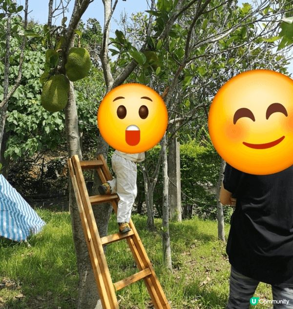 身為現代都市家長，總覺得小朋友放假不是對著iPad，就是去一...