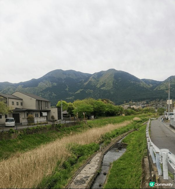 由布院山的小路,一遍青綠.小倉城氣氛古雅,值得一遊