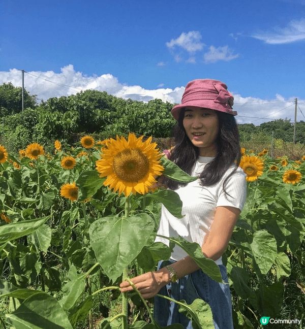 喜歡去感受不同國家文化，去旅行和試美妝