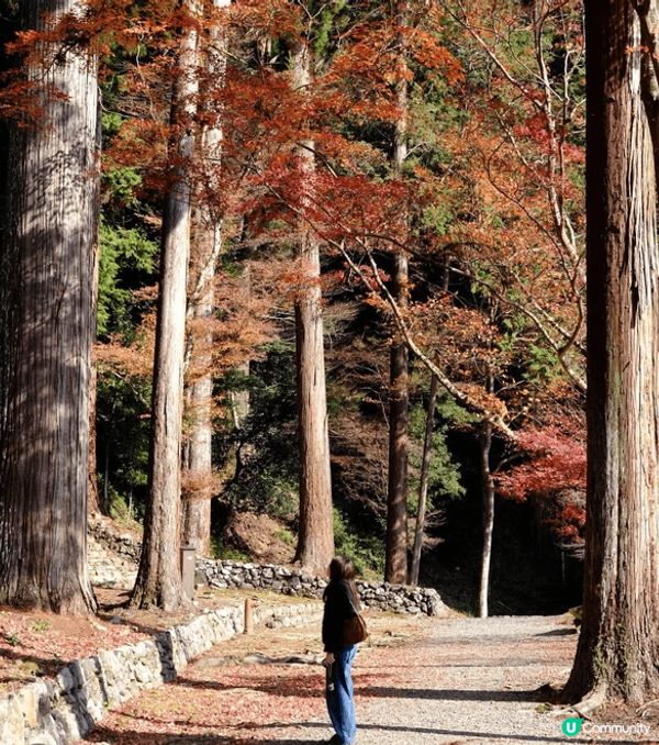 今次去日本旅行，最難忘嘅就係去咗京都嘅西本願寺啦！你睇相入面...