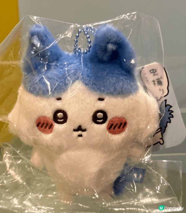 我的入坑經過是因為了解到Chiikawa中的小八是以八字劉海...