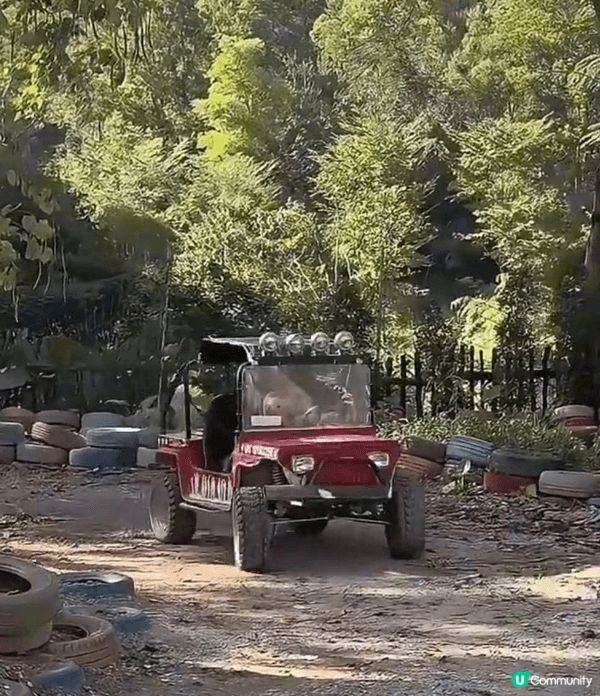 放暑假帶咗小朋友去深圳動物園，入面有山地越野車玩，仲有分兒童...