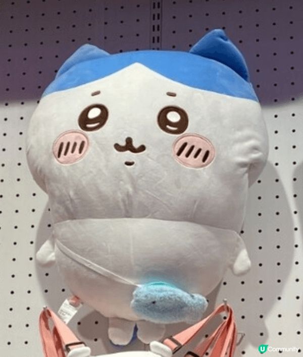 呢幾張相係我喺精品店見到嘅 Chiikawa 超軟萌公仔！三...