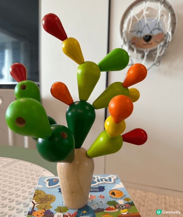 買咗盒德國嘅智力仙人掌積木畀10個月大嘅BB玩，佢對手仔肉嘟...